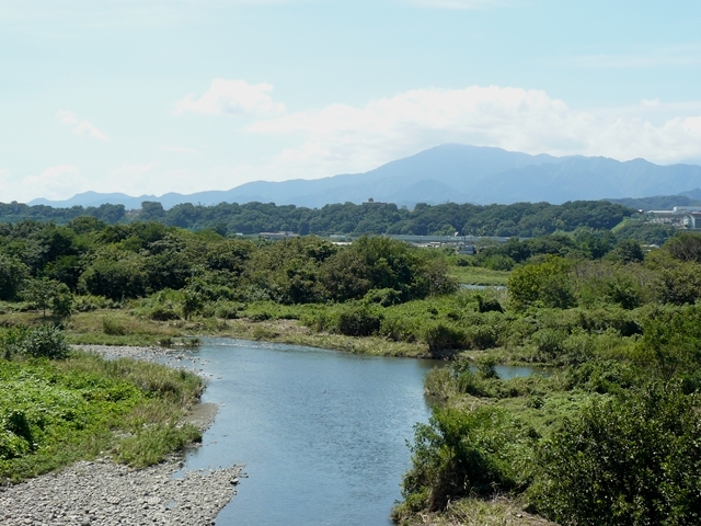 相模川と大山
