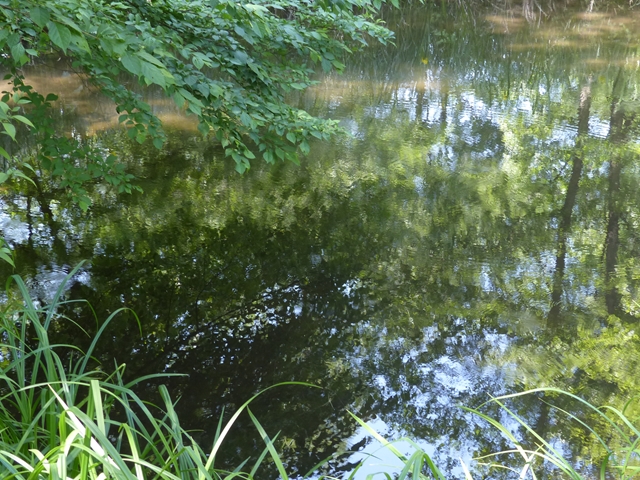 まる池